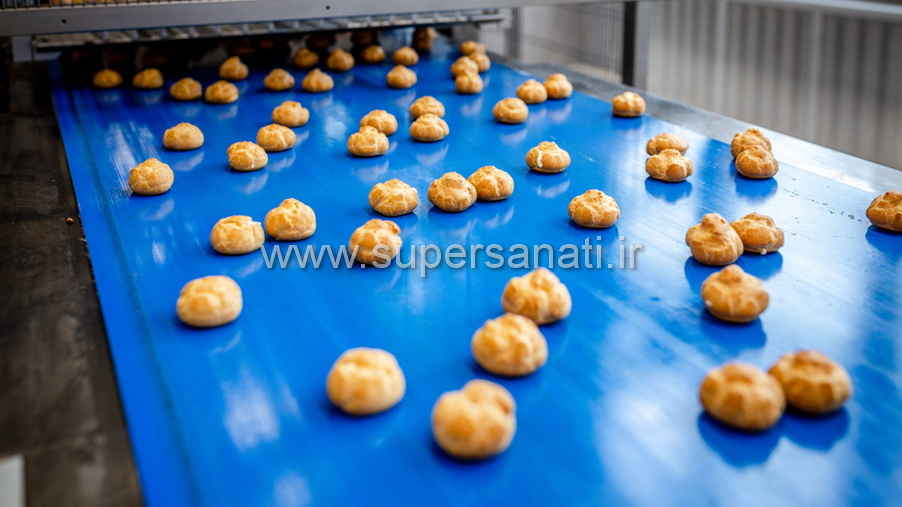 تسمه نقاله صنایع غذایی (1)